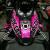 Custom wrap for the Arctic Cat Proclimb, in pink