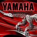 Close up of the Velociraptor graphic kit for the Yamaha Raptor 660