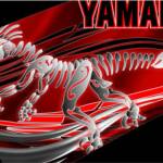 Detail of The Velociraptor graphic kit for 2006-2012 Raptor 700. Shown in red